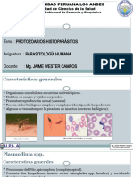 Protozoarios Histoparásitos