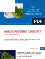 Contexto Geografico y Ambiental Andino