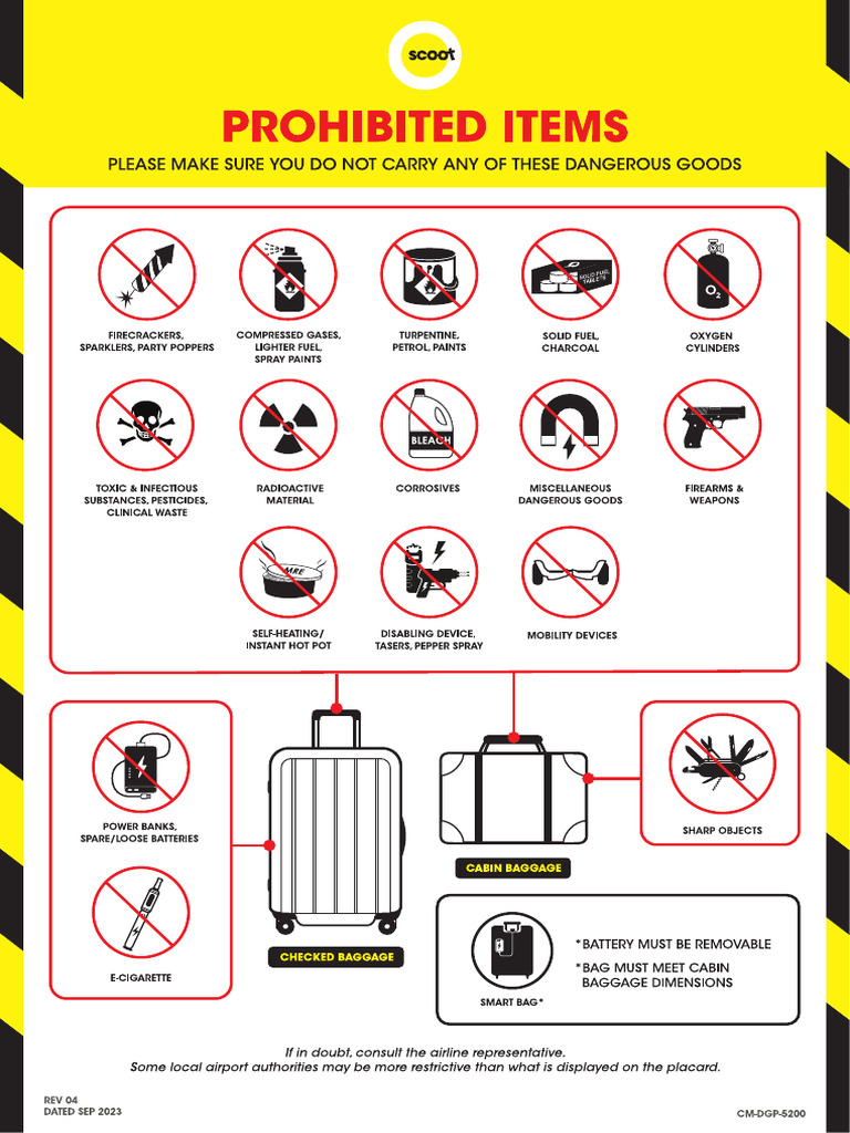 Dangerous Goods FLIGHT | PDF
