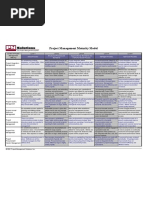 Project Management Maturity Model
