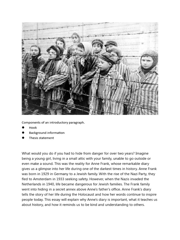Importance of Anne Frank's Diary | PDF | History | Classics
