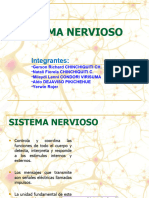 Sistema - Nervioso PPT Final