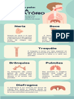 Sistema Respiratório