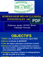 Sémiologie Des Occlusions Intestinale Aiguës