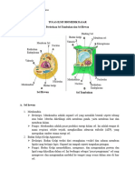 Tugas Ilmu Biomedik Dasar