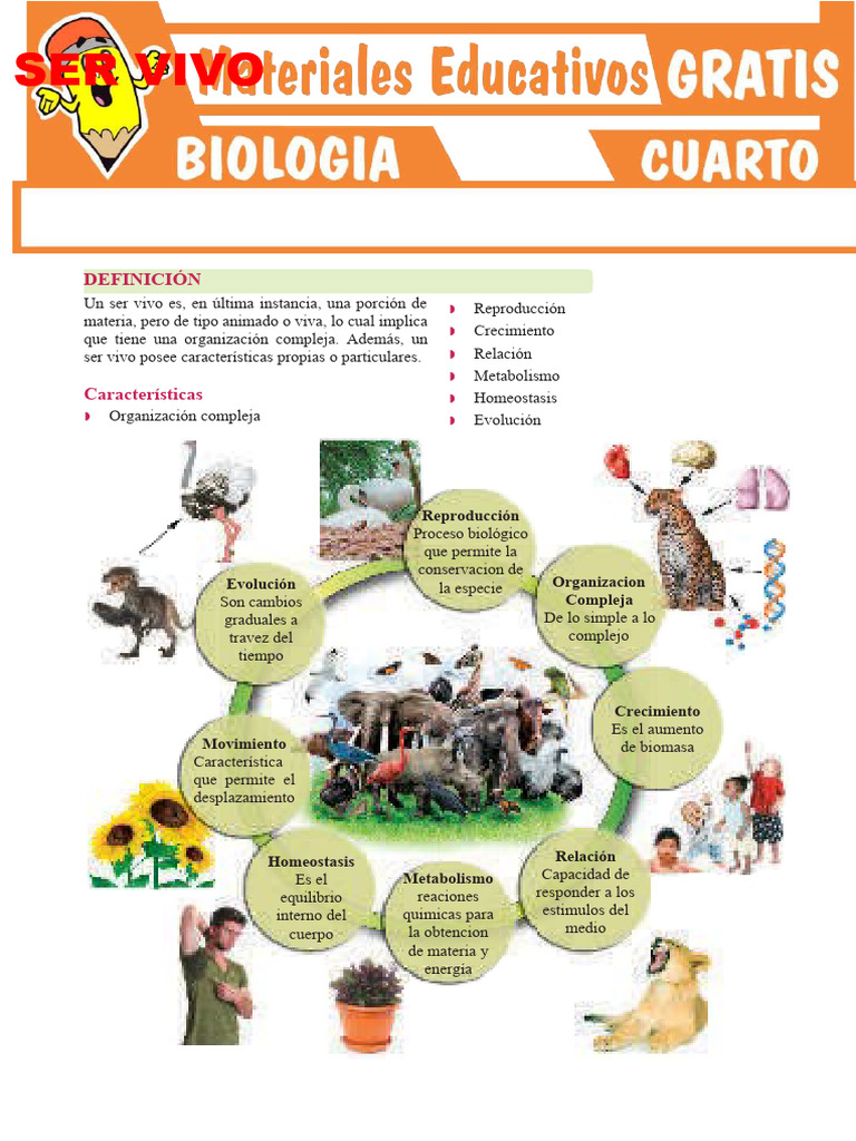 Los Seres Vivos para Cuarto Grado de Secundaria | Descargar gratis PDF ...