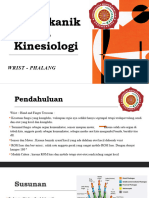 Kinesiologi Pert.5