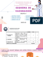 Grupo N°4 - 3a - Tarea 3.1. Vacunas