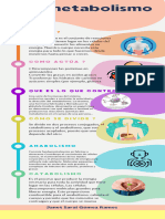 Infografia Metodo Cientifico ciencias ilustrado colores pastel _20231128_072133_0000