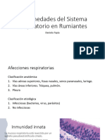 Clase 1. Enfermedades Del Sistema Respiratorio en Rumiantes