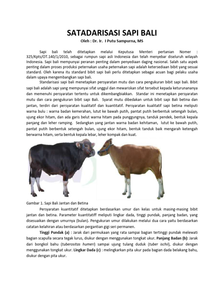 Standarisasi Bibit Sapi Bali | PDF