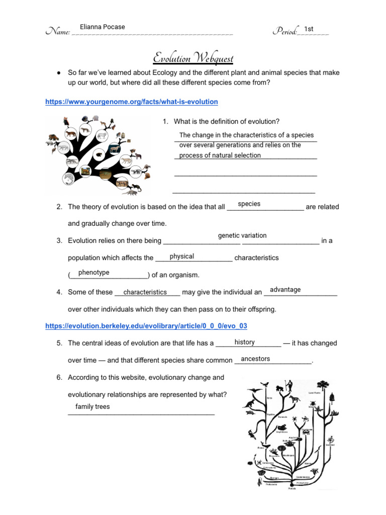 Evolution Webquest Overview | PDF | Natural Selection | Evolution