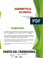 S3. Citogenetica Clinica