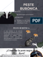 Peste Bubonica 2024