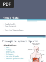 Download Seminario Hernia Hiatal by Dana Bortnick Ventura SN72759376 doc pdf
