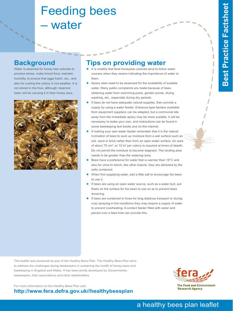 Feeding Bees - Water - Best Practise Guidance No 7b | PDF | Beekeeping ...