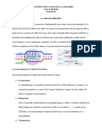 LA TRANSCRIPCIÓN e