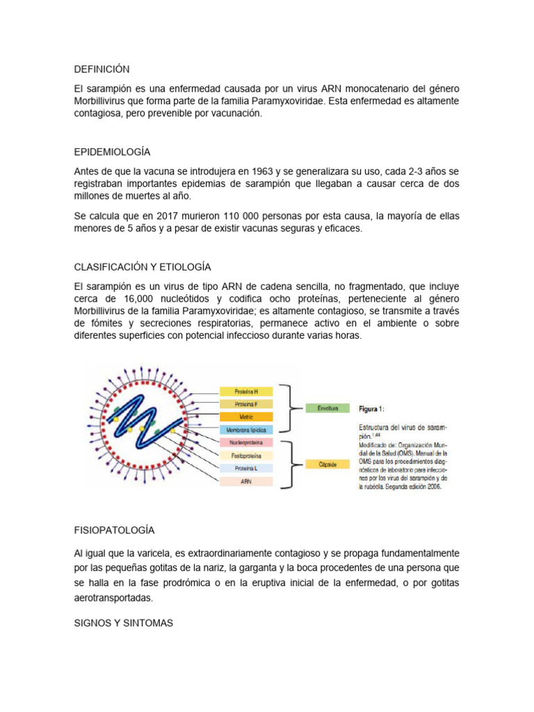 Sarampión Pdf Sarampión Virus