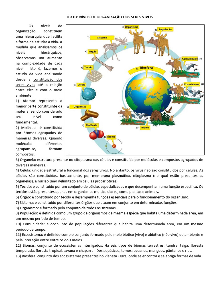 12.TEXTO-ORGANIZAÇÃO DOS SERES VIVOS | PDF