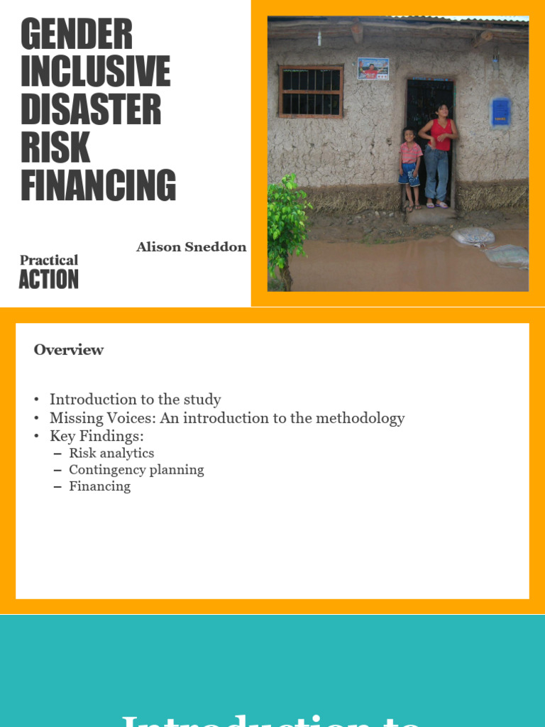 Gender-Inclusive Disaster Risk Financing | PDF | Risk | Methodology