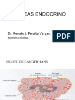 Pancreas Endocrino y Exocrino