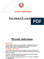 Lecture 5 - Mycotic Infections
