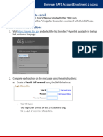 BorrowerCAFSInstructions v2-508