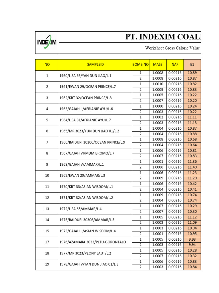 Worksheet CV With Correction | PDF