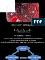 Hemostasia y Coagulacion PPT PROFE