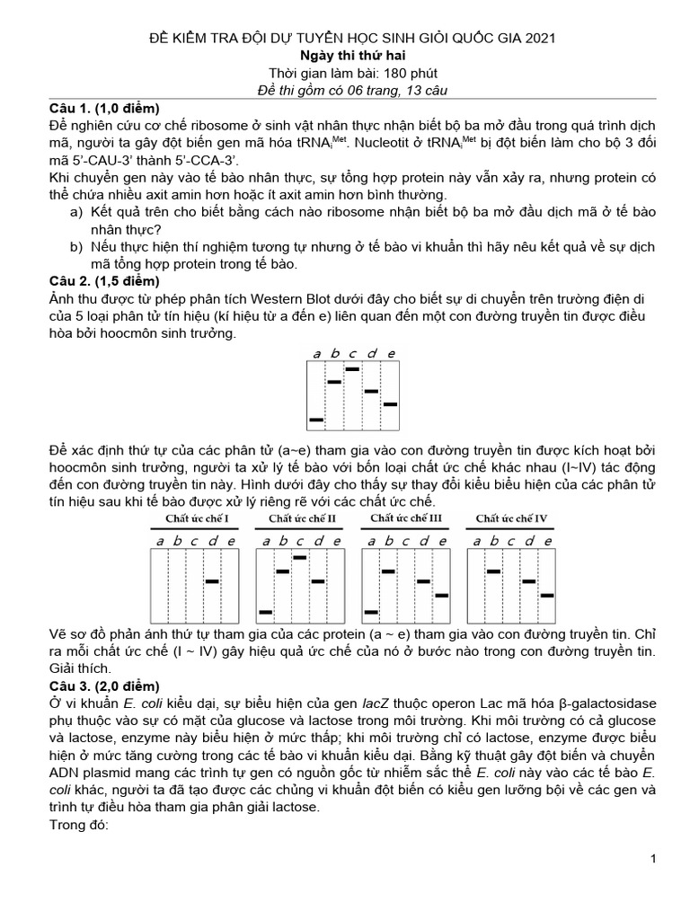 Day 2 Test | PDF