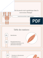 Role Du Muscle S.S Dans Laregeneratin D'atp