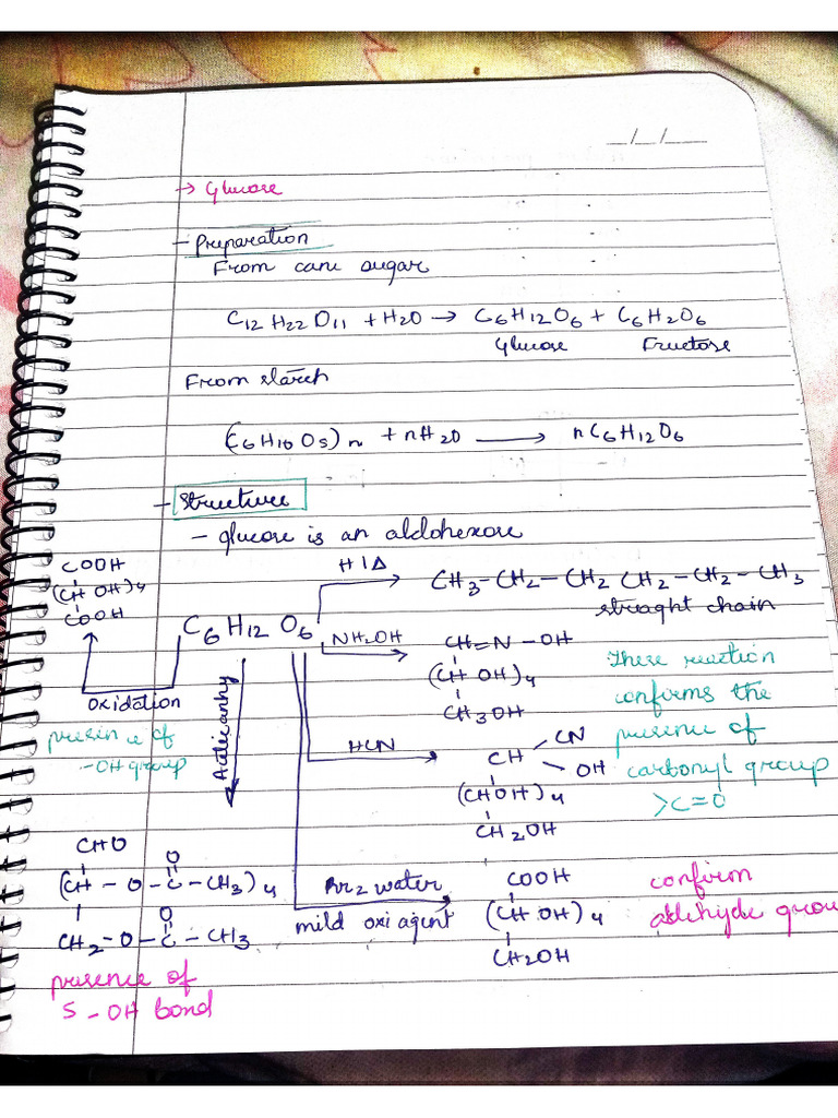 Biomolecules Class 12 Pdf