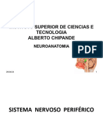 Dr. Rafael Neuroanatomia Sistema Nervoso Periférico