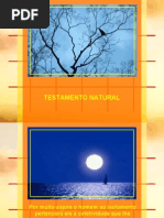 Test Amen To Natural (André Luiz)