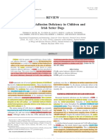 Review "Leukocyte Adhesion Deficiency in Children and Irish Setter Dogs"