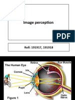 Image Preception (17,18)