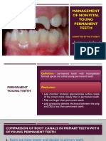 Management of Non Vital Young Permanent Teeth