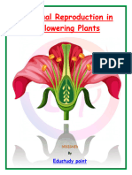 Sexual Reproduction in Flowering Plants