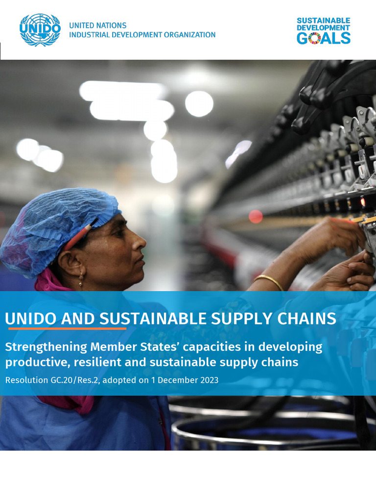 UNIDO's Role in Sustainable Supply Chains | PDF | Sustainability ...