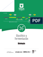 Glucólisis y Fermentación