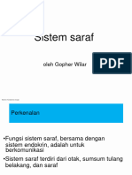 Sistem Saraf (Terjemahan)