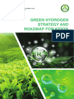 Green Hydrogen Exec 0209 0