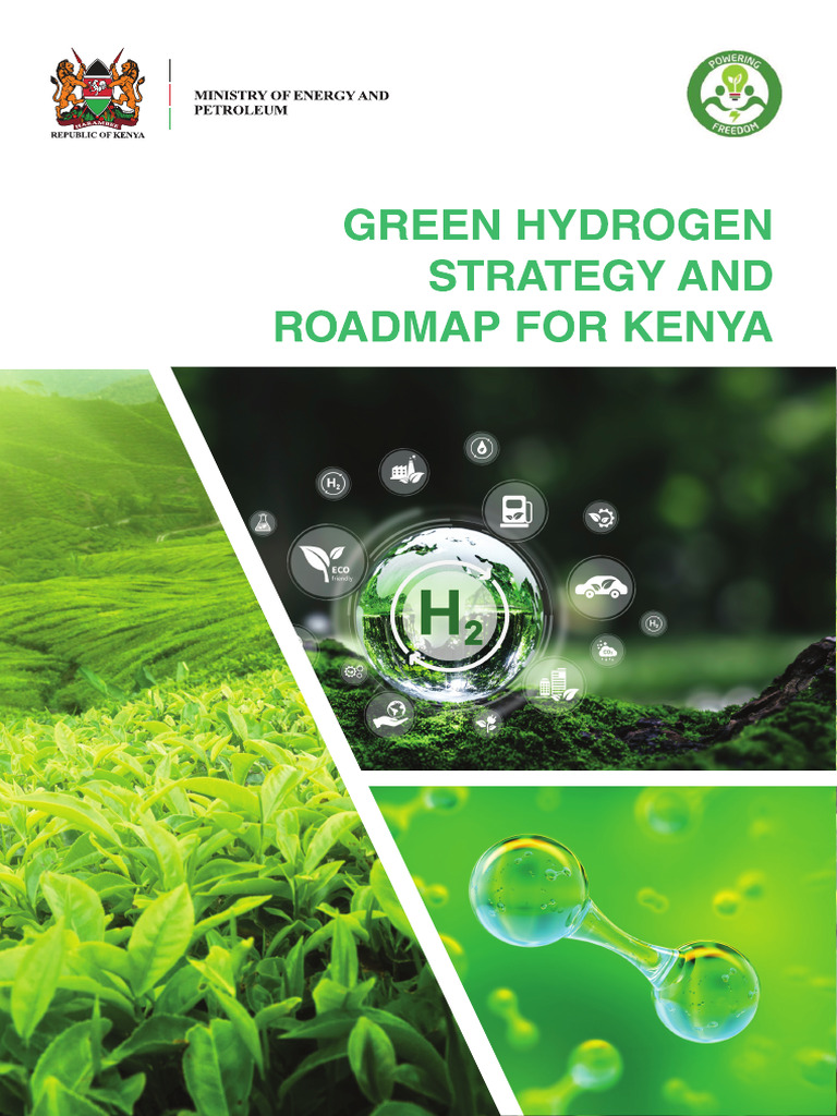 Kenya's Green Hydrogen Strategy Roadmap | PDF | Climate Change ...