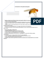 Exercise 1 and 2 - Drosophila Melanogater
