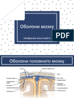 Оболони мозку