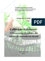 Sergio Vidal - Colhendo Kylobytes o Growroom e A Cultura Do Cultivo de Maconha No Brasil