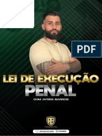 Aula 07 - LEP - Órgãos Da Execução Penal PDF