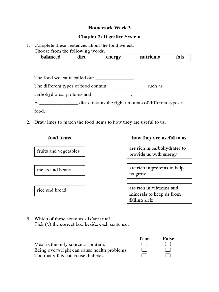 Week 3 Homework: Digestive System Basics | PDF | Science & Mathematics ...