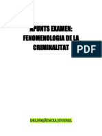 Apunts Fenomenologia de La Criminalitat