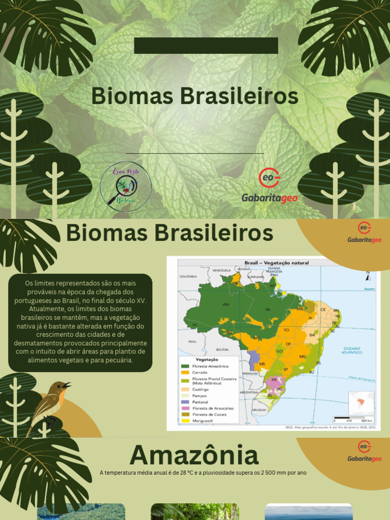 Biomas Brasileiros: Diversidade e Desafios | PDF | Floresta Amazônica ...